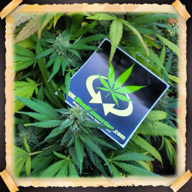 #Grow Your #Business