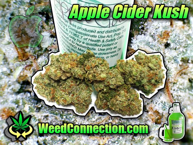 #Hempy #JohnnyAppleseedDay