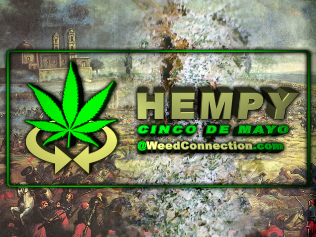 #Hempy #CincoDeMayo #2021