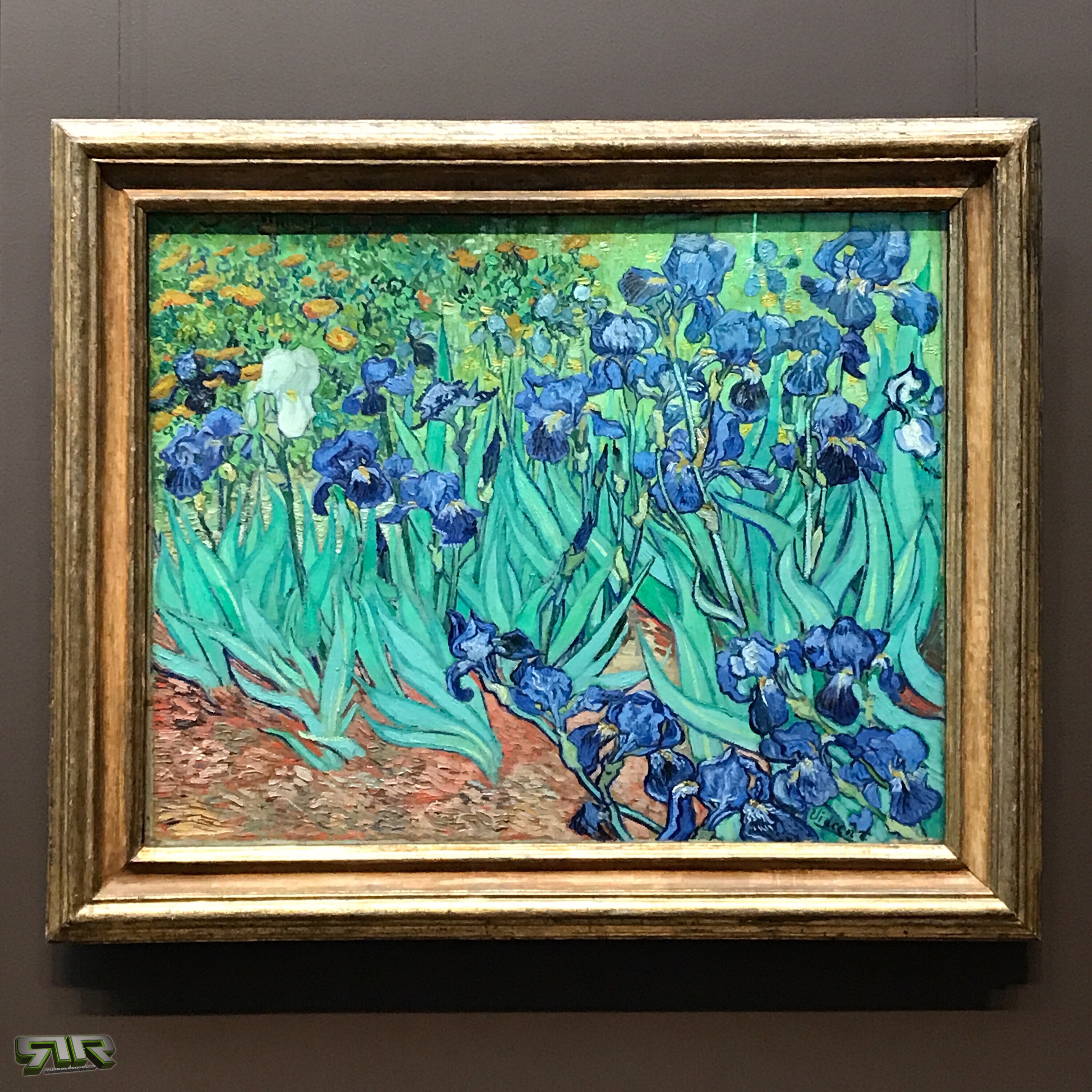 #FollowFriday @RussellRope