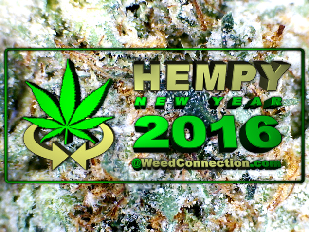 #Hempy #NewYear #2016