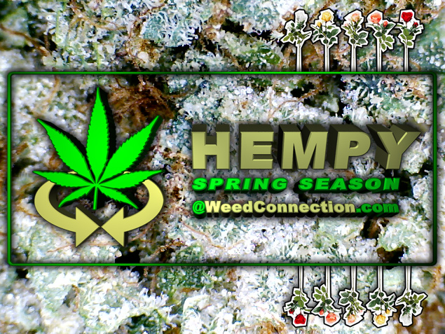 #Hempy #Spring #Equinox #2016