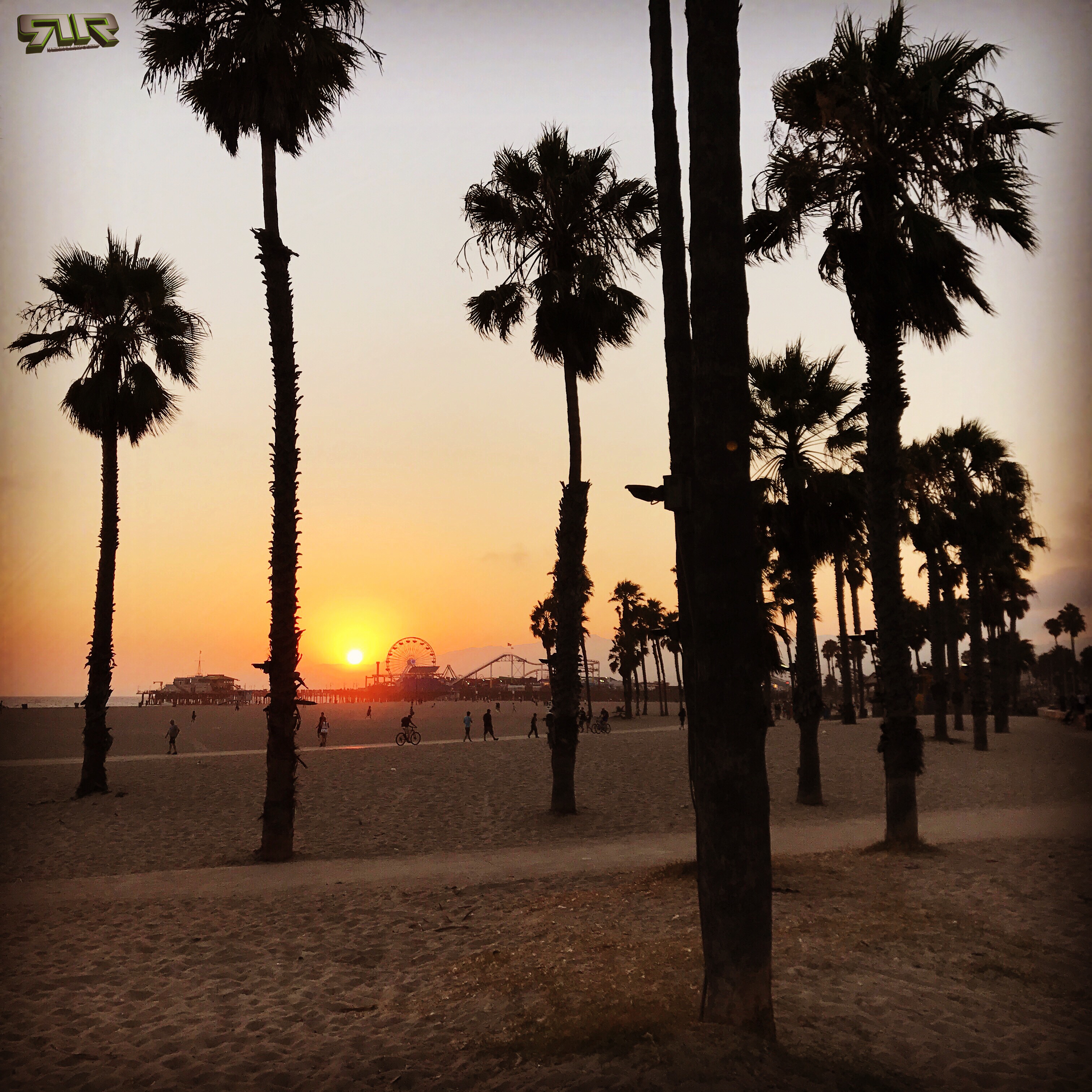 #Hempy #SundayFunday