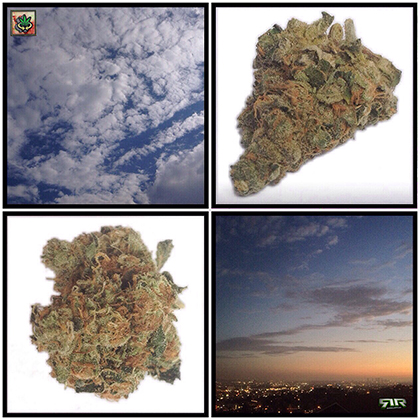 #Hollyweed #Kush #Clouds