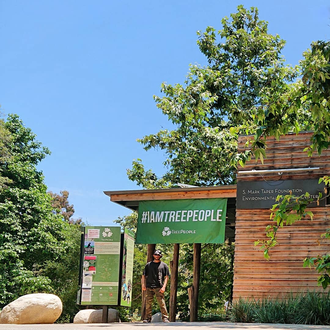 #National #LoveATreeDay