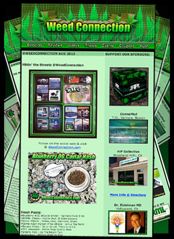 #Newsletter #August #2013