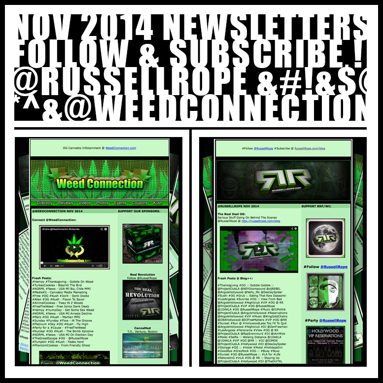 #Newsletter #November #2014