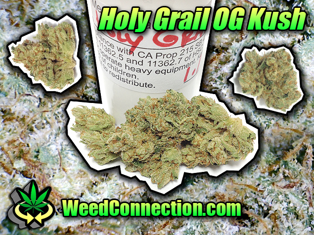 #Sunday #Funday #Sesh