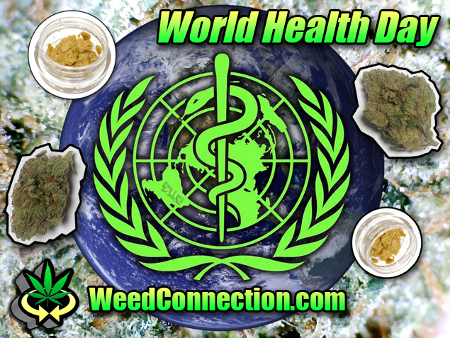 #Hempy #WorldHealthDay #2017