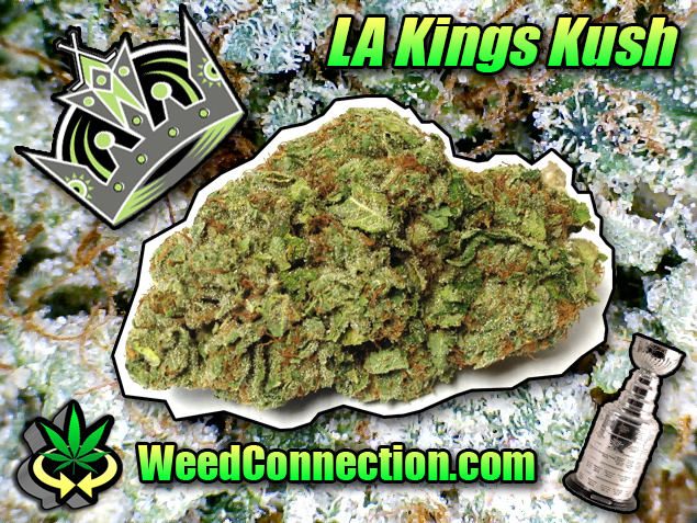 #LA #Kings #Kush