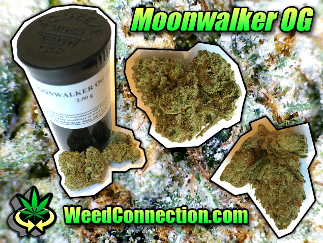 #Moonwalker #OG #Kush