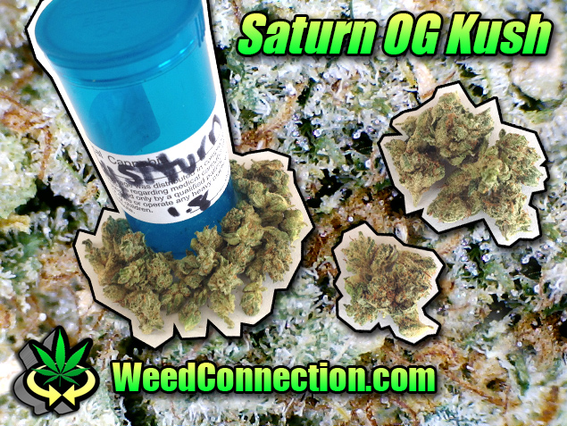 #Saturn #OG #Kush