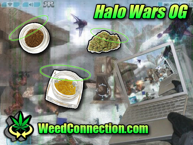 #Halo #Wars #OG