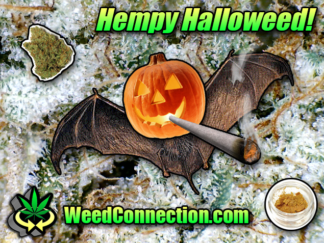 #Hempy #Halloweed 