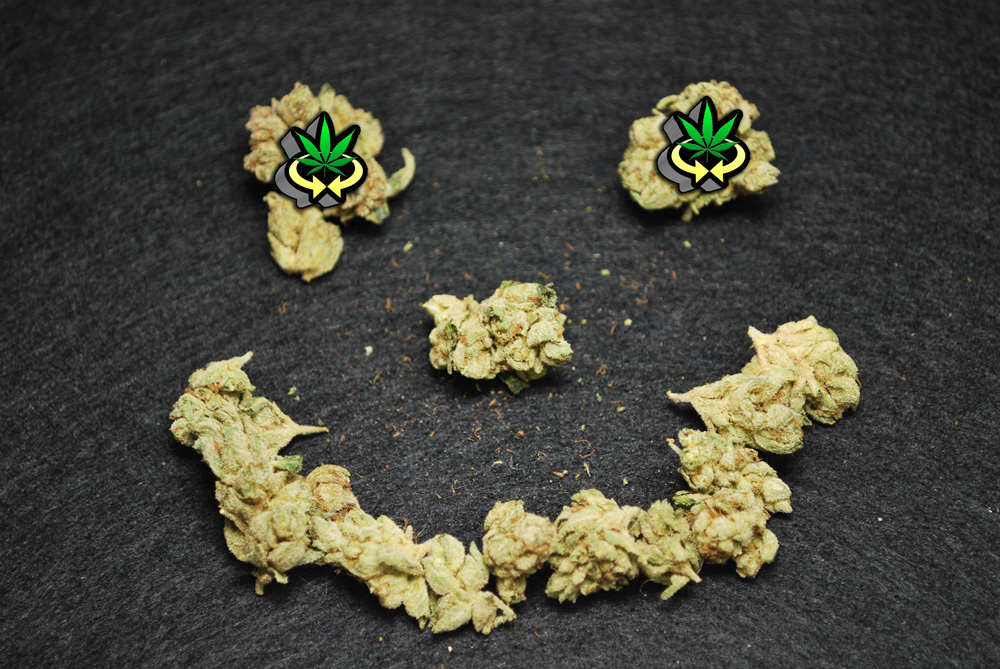 #Stoner #Jokes @WeedConnection