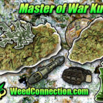 #Master of #War #Kush @WeedConnection