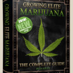 #Growing #Elite #Marijuana @WeedConnection