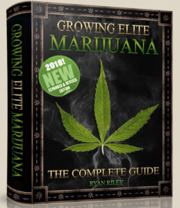 #Growing #Elite #Marijuana @WeedConnection
