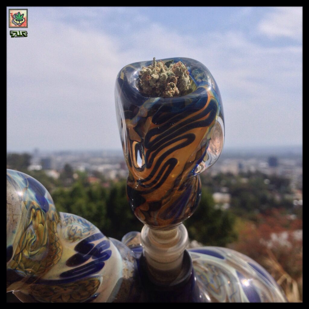 #Pieces @WeedConnection