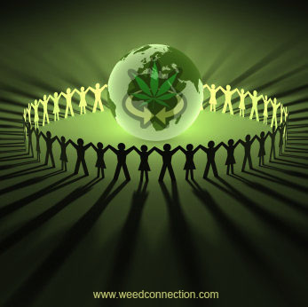 #iNTERNATiONAL #DiRECTORY @WeedConnection