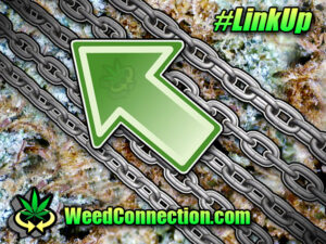 #Connect @WeedConnection