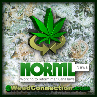 #NORML #News @WeedConnection