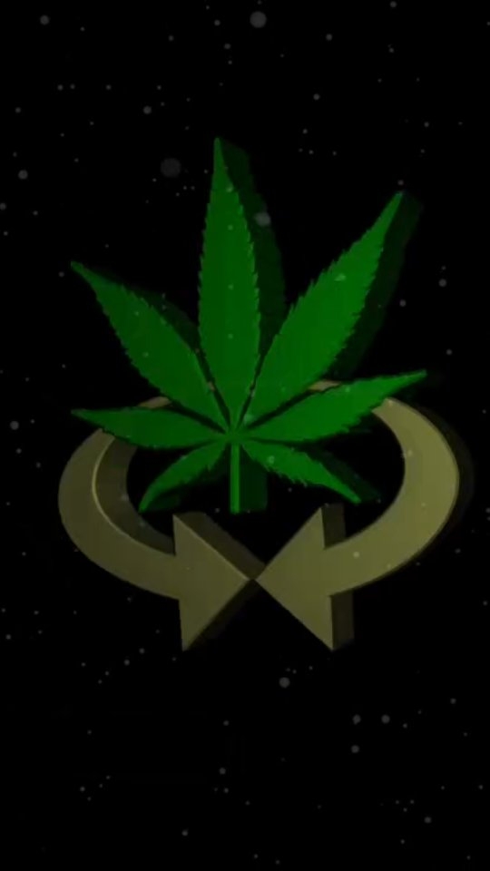 Terp Sesh #TBT @ #WC 🌴🌟🌿🔥